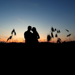 Fotorama24 - Sylwetka pary całującej się na tle zachodzącego słońca, zarysowana na tle nieba w odcieniach pomarańczy i błękitu, z delikatnymi źdźbłami trawy na pierwszym planie.