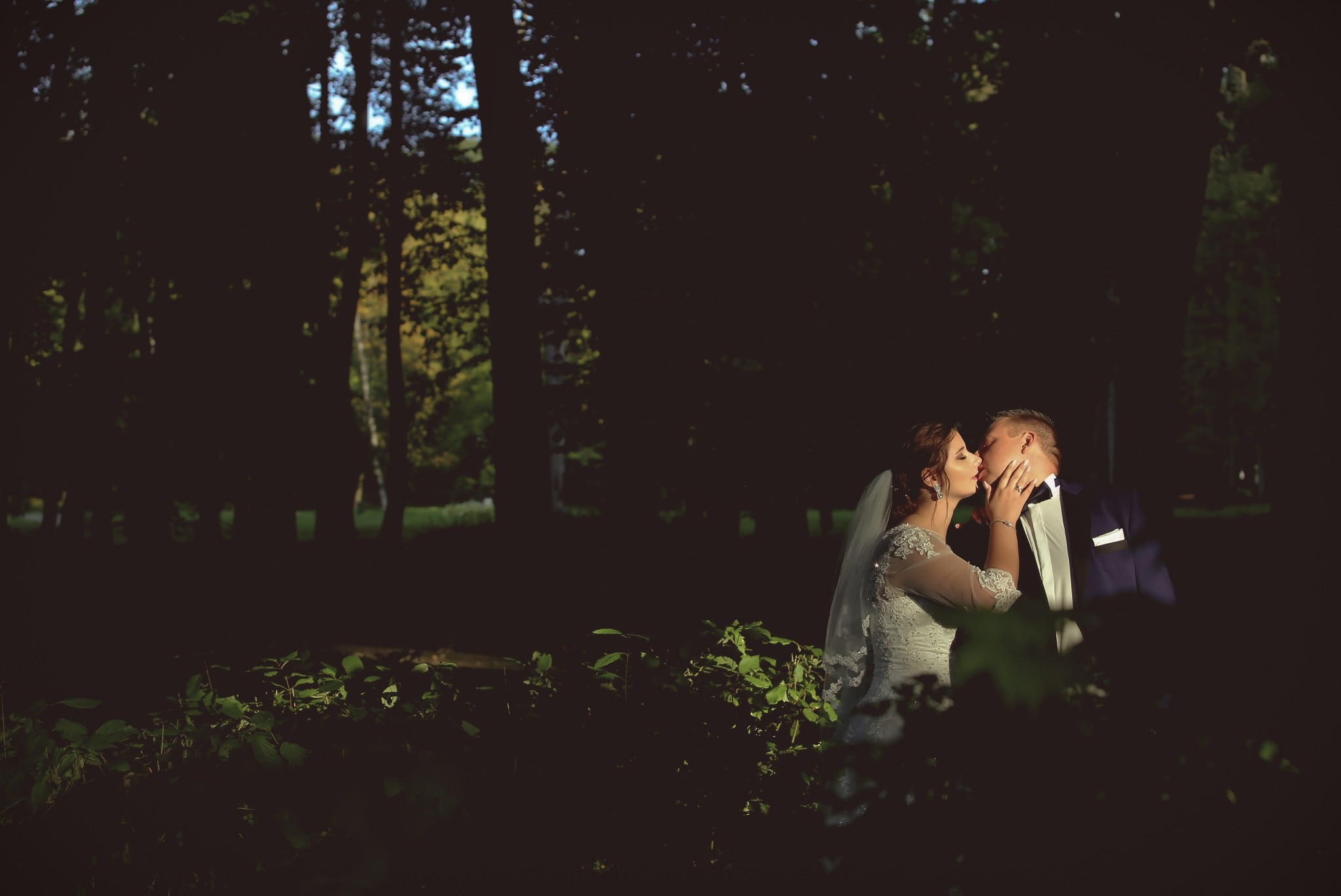 Pocałunek pary młodej w lesie, panna młoda w koronkowej sukni z długim rękawem i welonem, pan młody w granatowym garniturze z muchą, oświetleni bocznym słońcem, ciemne tło drzew.
