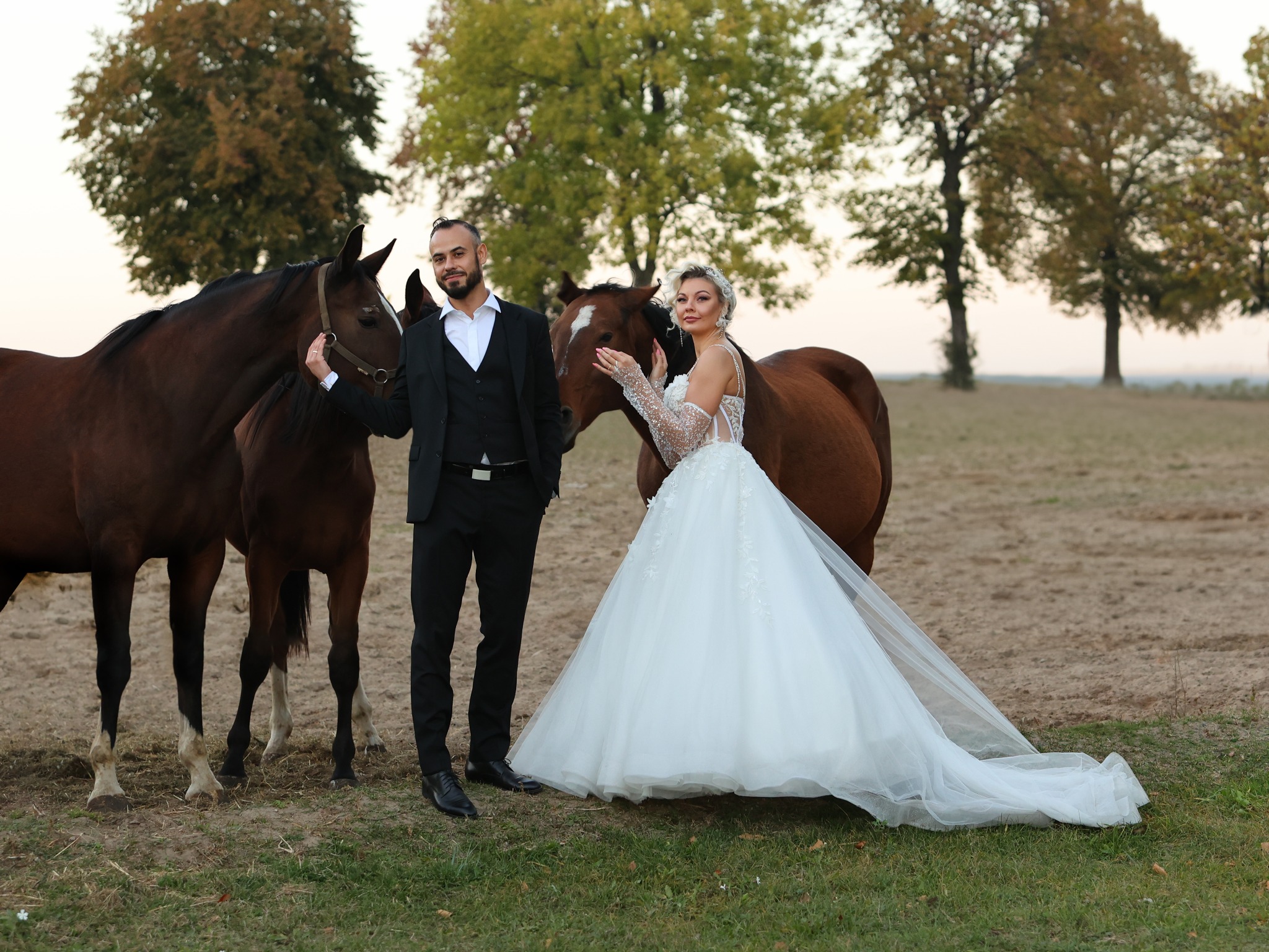 Elegancka para w strojach ślubnych pozuje z dwoma brązowymi końmi na tle drzew w plenerze. Panna młoda w koronkowej sukni z długimi rękawami, pan młody w czarnym garniturze.