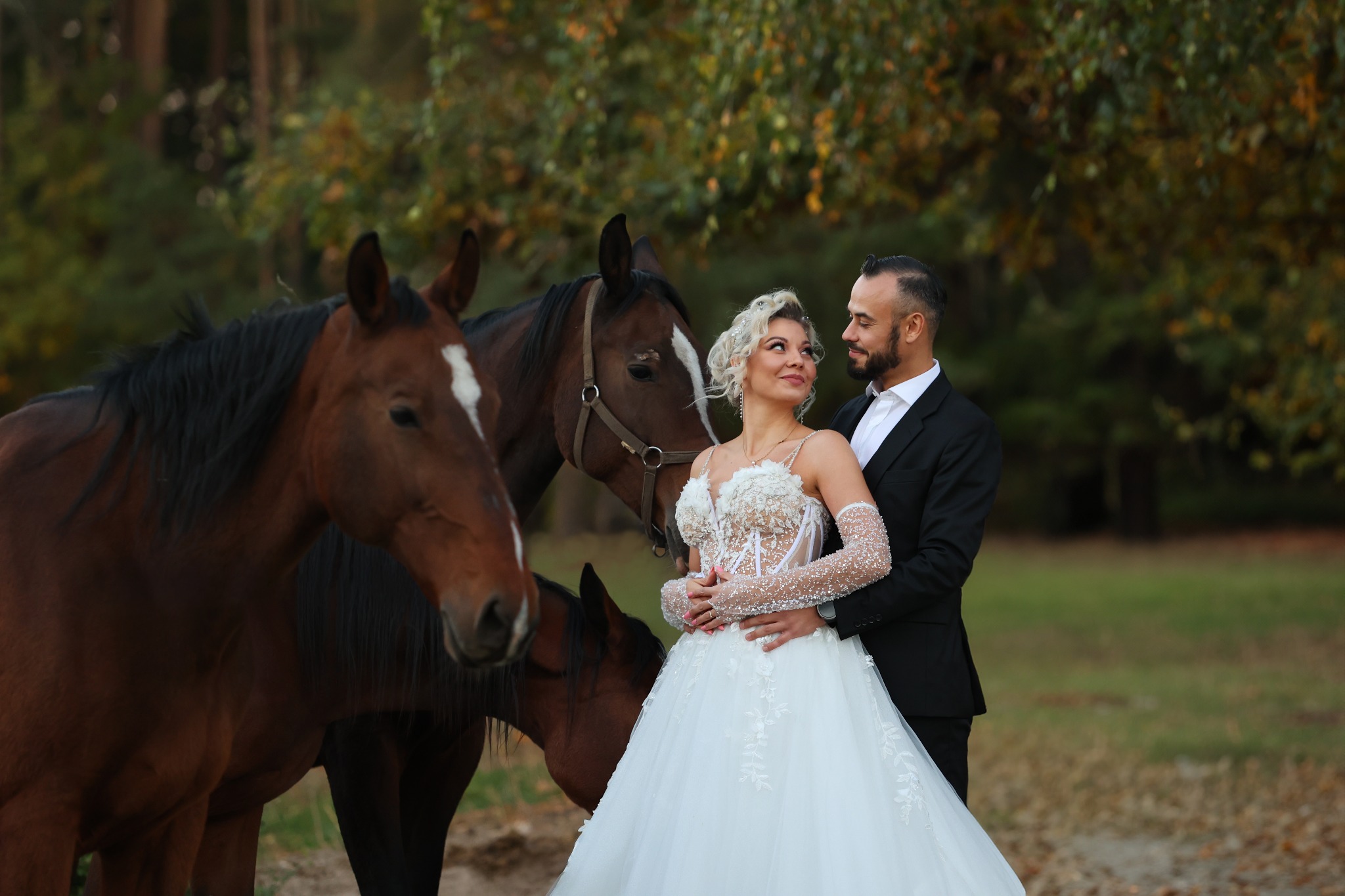 Para młoda w objęciach, panna młoda w sukni z koronkową górą i tiulowym dołem, pan młody w czarnym garniturze, w tle brązowe konie na tle zieleni