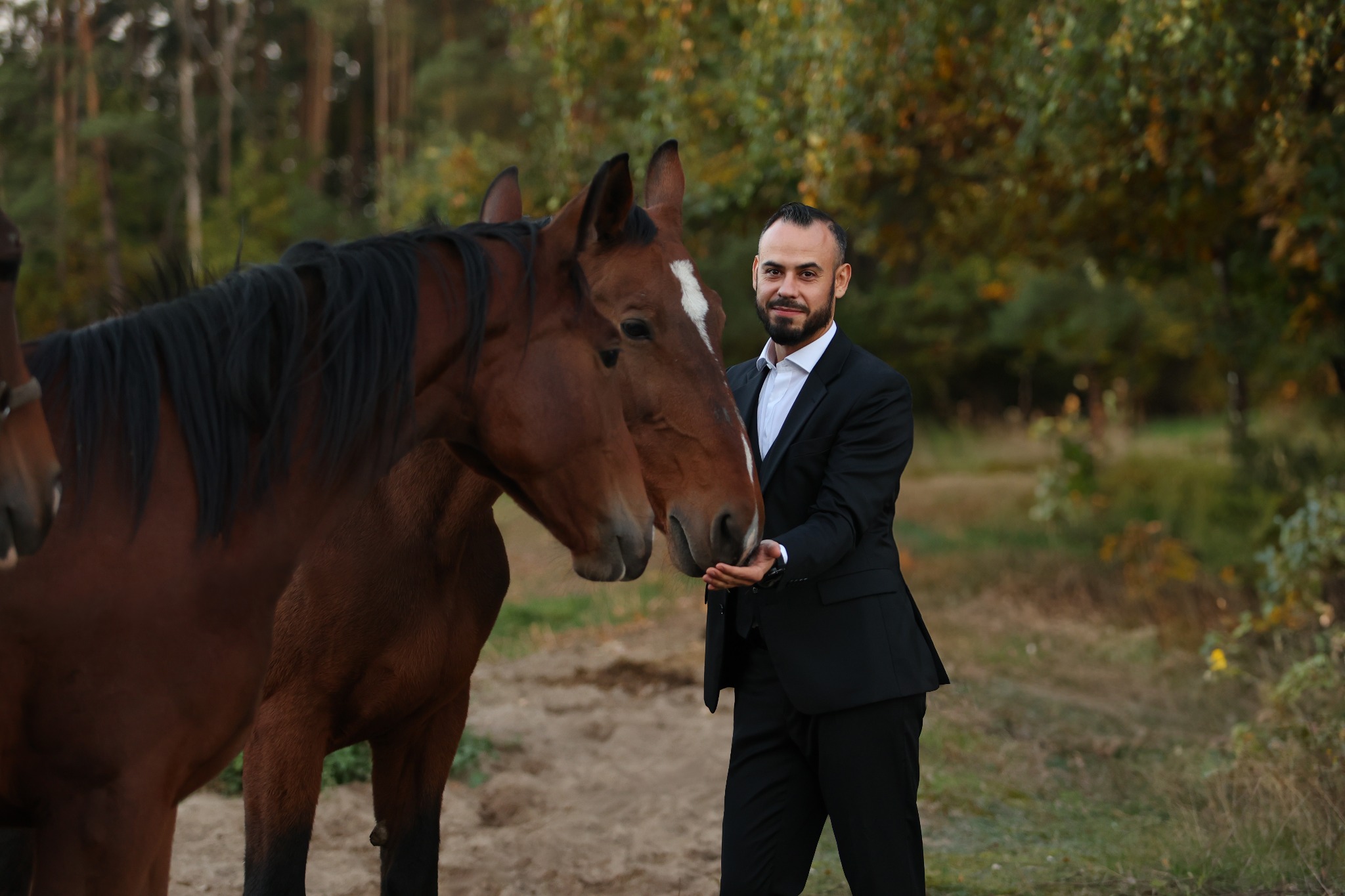 Elegancki mężczyzna w garniturze karmiący z ręki dwa brązowe konie na tle leśnej scenerii.