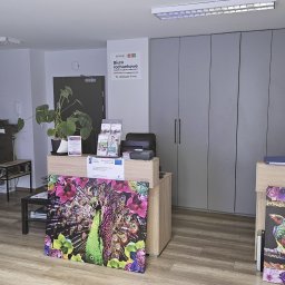 Agencja Ubezpieczeniowa LIDER - Wnętrze biura rachunkowego z recepcją, na której widoczne są materiały informacyjne i dekoracyjne obrazy z motywami pawia i ptaków.