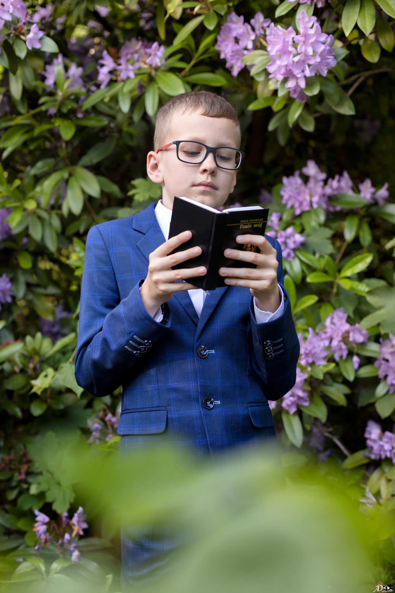 Chłopiec w granatowym garniturze w kratę czyta książeczkę na tle kwitnącego rododendronu. Fotografia z uroczystości.