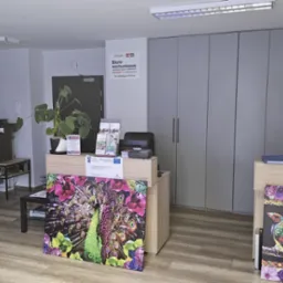 Recepcja biura rachunkowego z plakatem informacyjnym, rośliną doniczkową i dekoracyjnymi obrazami z motywem pawia i ptaków.