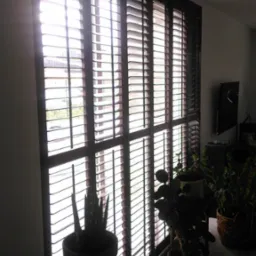 Drewniane żaluzje wewnętrzne w ciemnej ramie okiennej, przepuszczające silne światło, z widocznymi roślinami doniczkowymi na parapecie i podłodze.