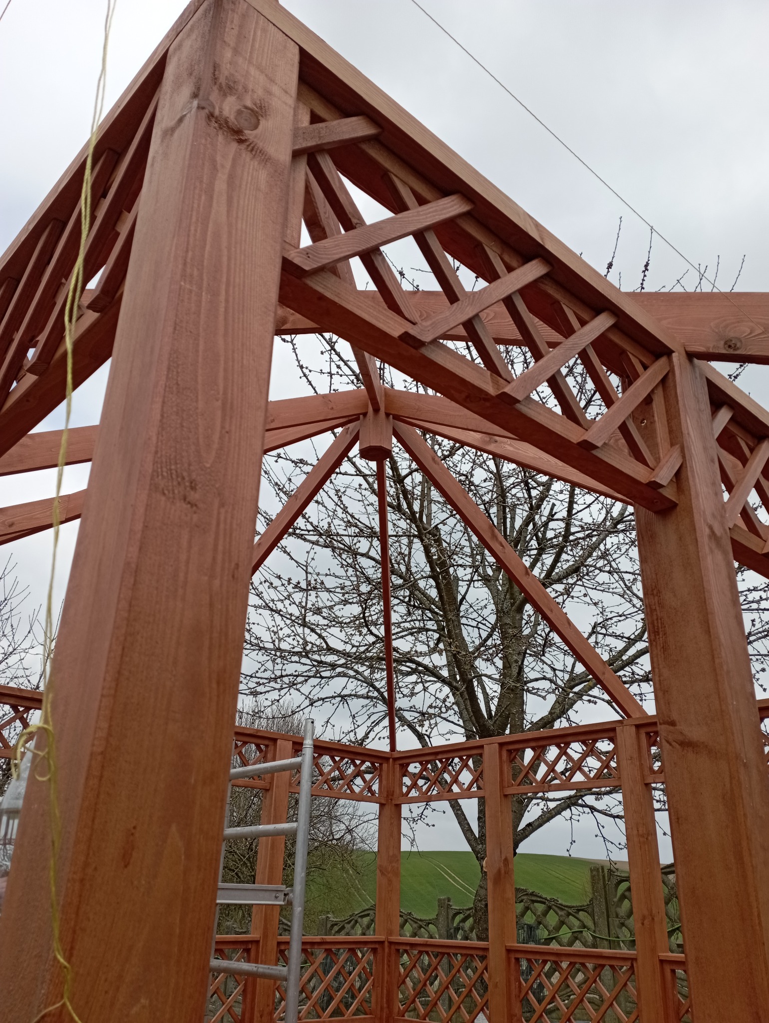 Konstrukcja altany z brązowego drewna w trakcie budowy, widok z dołu na ażurową kratę i drzewo w tle, drabina oparta o konstrukcję. Pochmurne niebo.