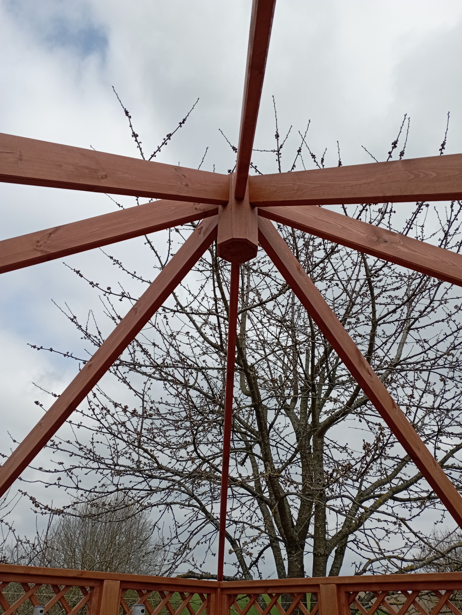 Wnętrze drewnianej altany z widokiem na drzewo bez liści i pochmurne niebo. Konstrukcja z belek w kolorze brązowym, widok z dołu, perspektywa zbieżna.
