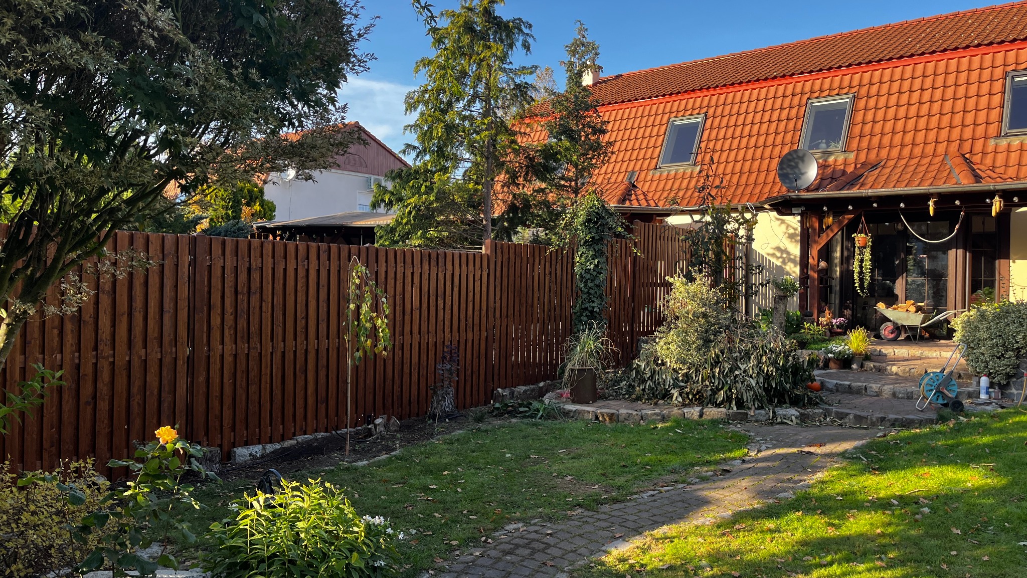 Ciemnobrązowe, pionowe deski ogrodzenia, widoczne z perspektywy ogrodu, z kwitnącą żółtą różą w pierwszym planie i domem z czerwoną dachówką w tle.