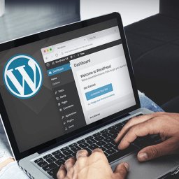 WordPress i Pluginy WP