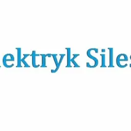Logo firmy elektrycznej: 'Twój Elektryk Silesia.pl' w kolorze niebieskim, obok symbol żarówki.