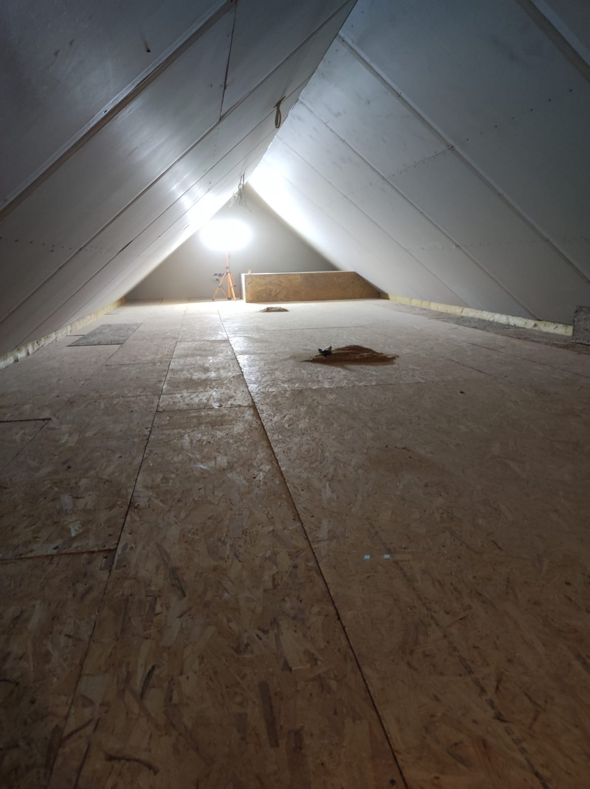 Poddasze z wyłożoną podłogą z płyt OSB, oświetlone lampą budowlaną, ściany wykończone płytami, widoczne łączenia płyt.