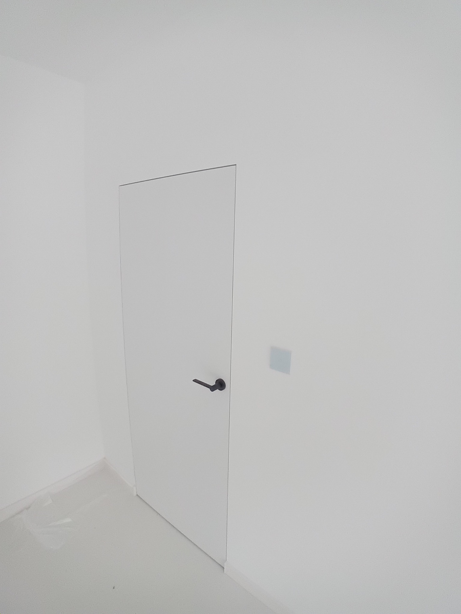 Minimalistyczne wnętrze: białe ściany, ukryte drzwi z czarną klamką i szary przełącznik. Nowoczesne wykończenie, świeżo po remoncie.