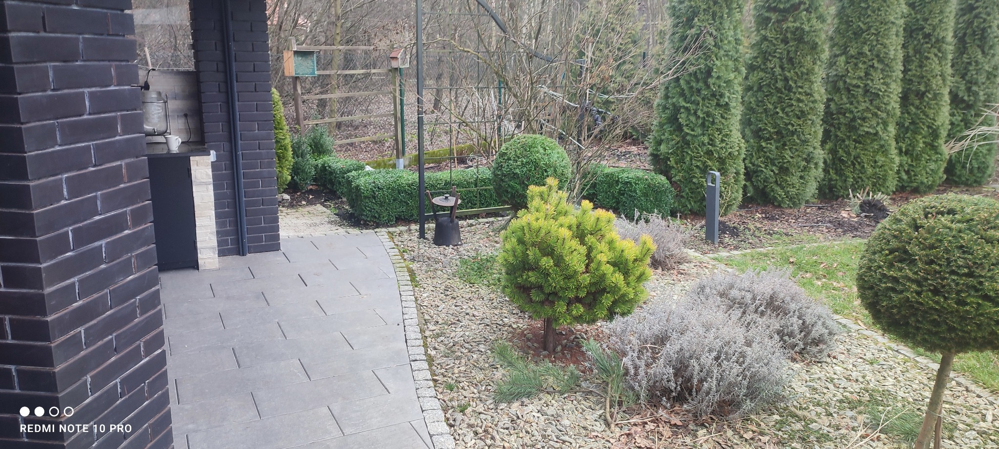 Uporządkowany ogród z formowanymi krzewami i drzewami iglastymi, widok z perspektywy tarasu z ciemnej cegły.