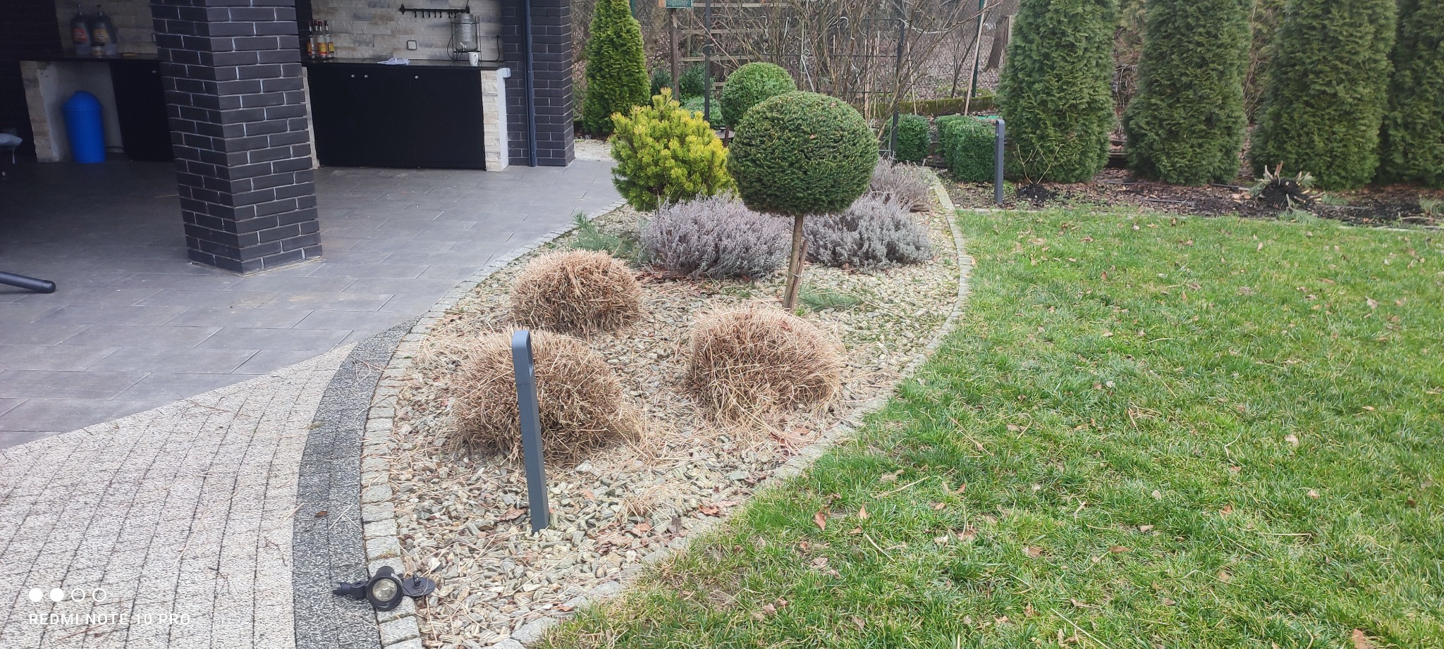 Ogród z kulistymi krzewami, trawami ozdobnymi i tujami, wykończony kamiennym obrzeżem i korą, widoczny z perspektywy trawnika.