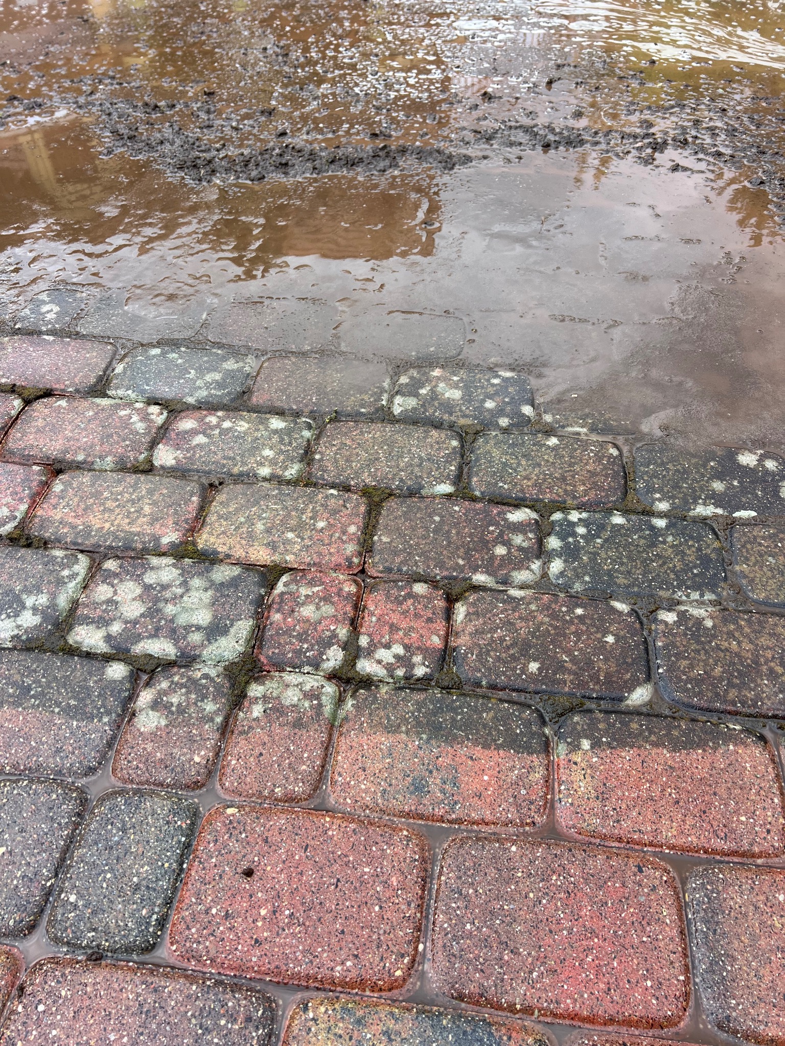 Mokre, czerwono-szare kostki brukowe częściowo zanurzone w brudnej wodzie i błocie, z widocznymi śladami mchu i zabrudzeń.
