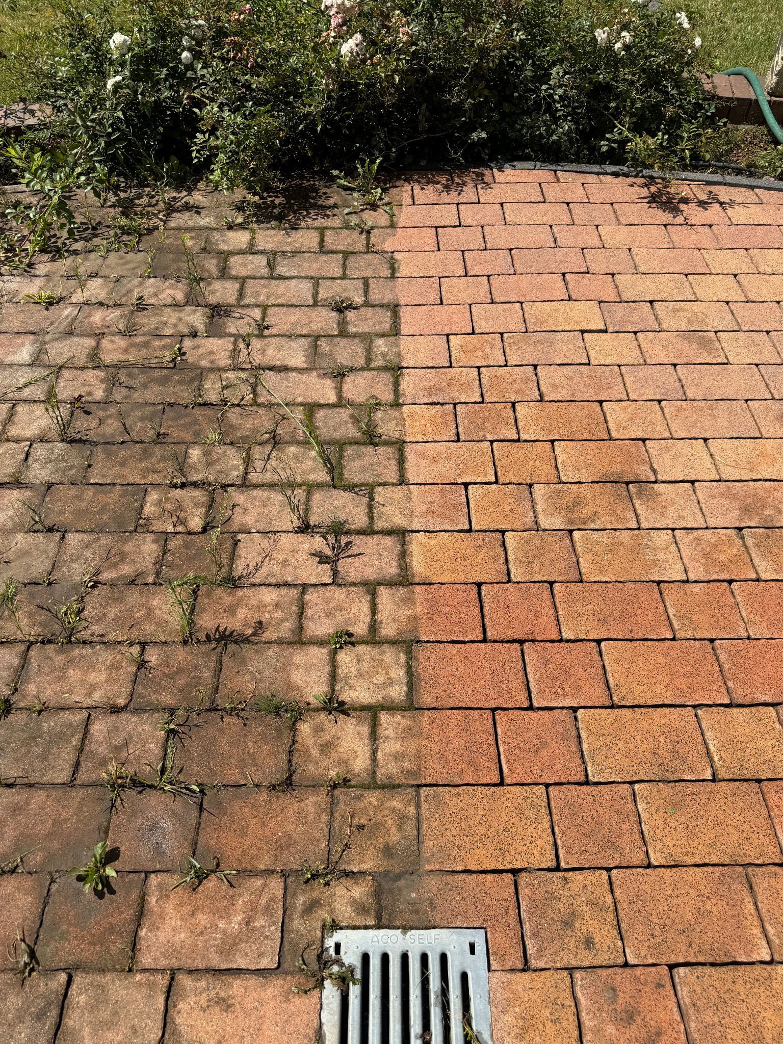 Częściowo oczyszczona kostka brukowa z widoczną różnicą w kolorze, zarośnięta roślinnością, z odpływem liniowym w dolnej części kadru.