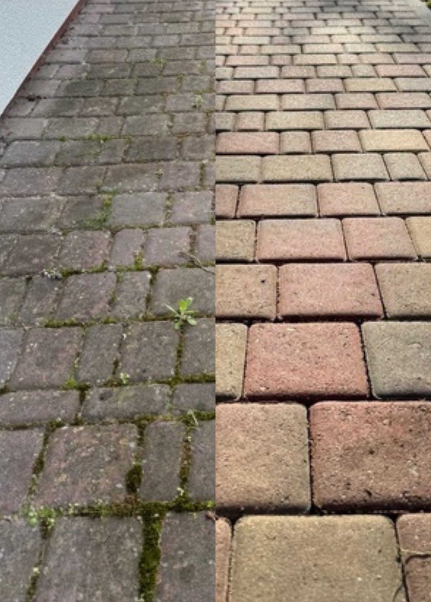 Częściowo wyczyszczona kostka brukowa z mchem i chwastami, ukazująca różnicę przed i po czyszczeniu.