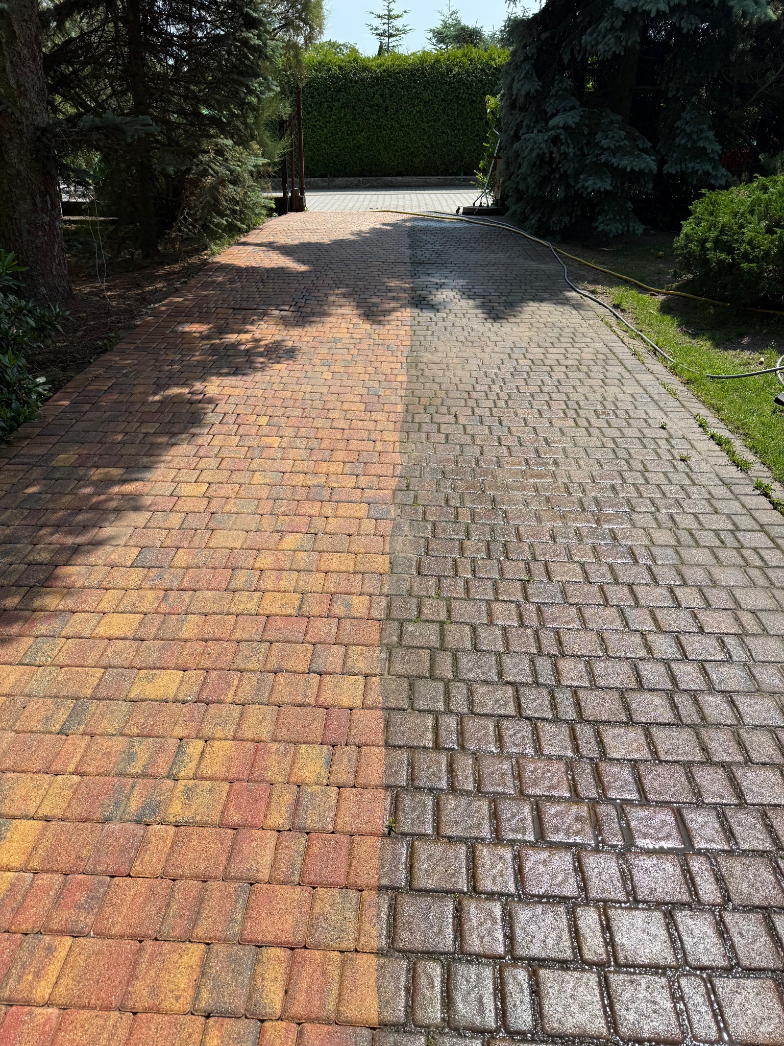 Efekt przed i po czyszczeniu kostki brukowej na podjeździe. Lewa strona brudna, prawa świeżo umyta, mokra. Widoczne drzewa i krzewy w tle.