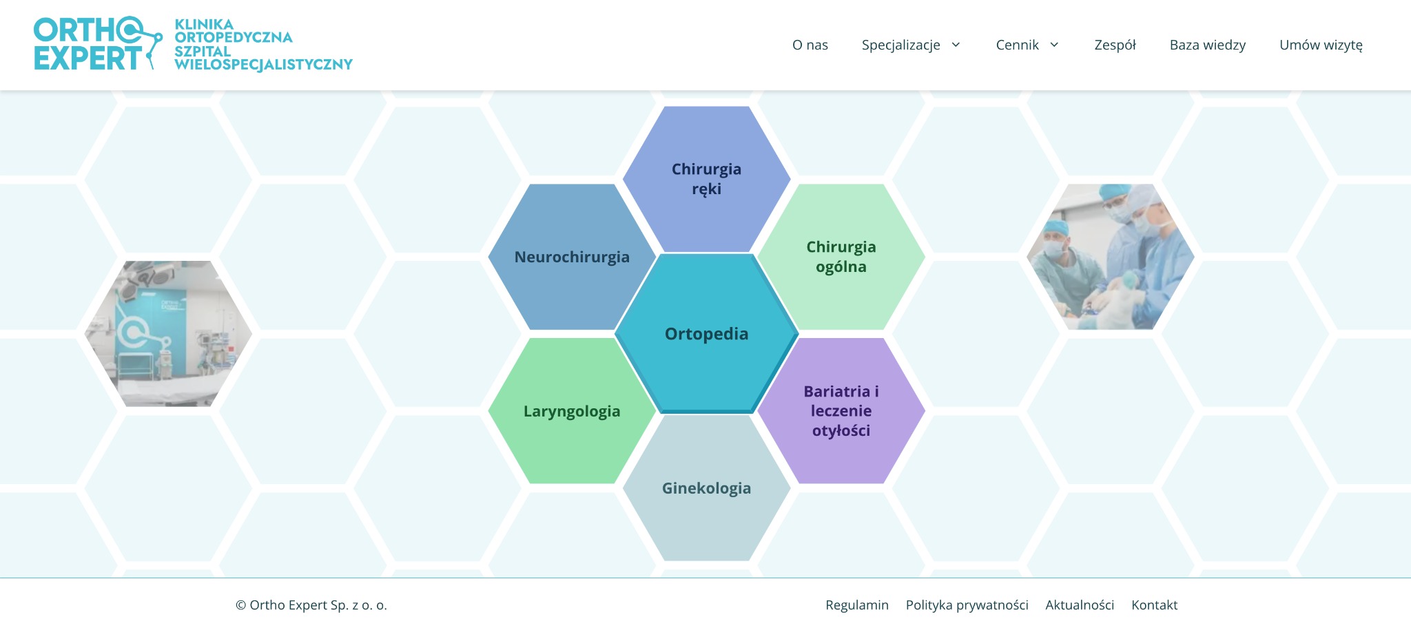 Strona internetowa kliniki ortopedycznej z heksagonalnymi ikonami specjalizacji medycznych, w tym ortopedii, neurochirurgii, laryngologii, ginekologii, chirurgii ręki, chirurgii ogólnej i bariatrii.