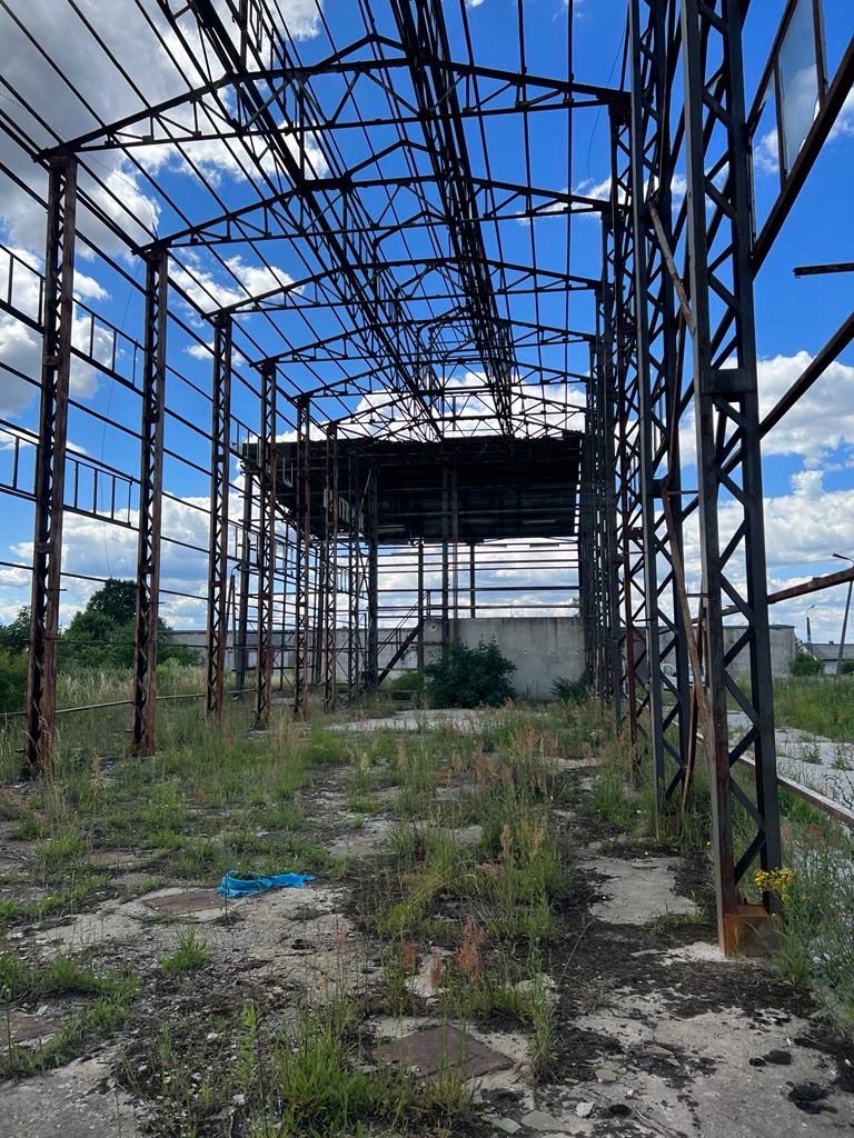 Szkielet zardzewiałej konstrukcji hali przemysłowej na tle błękitnego nieba z chmurami, porośnięty trawą teren.