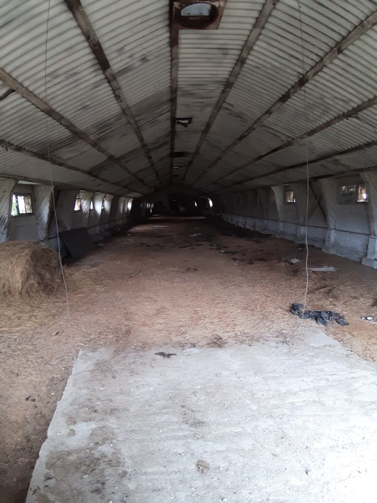 Wnętrze opuszczonego, długiego budynku gospodarczego z zardzewiałym dachem z blachy falistej, ziemistą podłogą i słabym oświetleniem wpadającym przez małe okna.