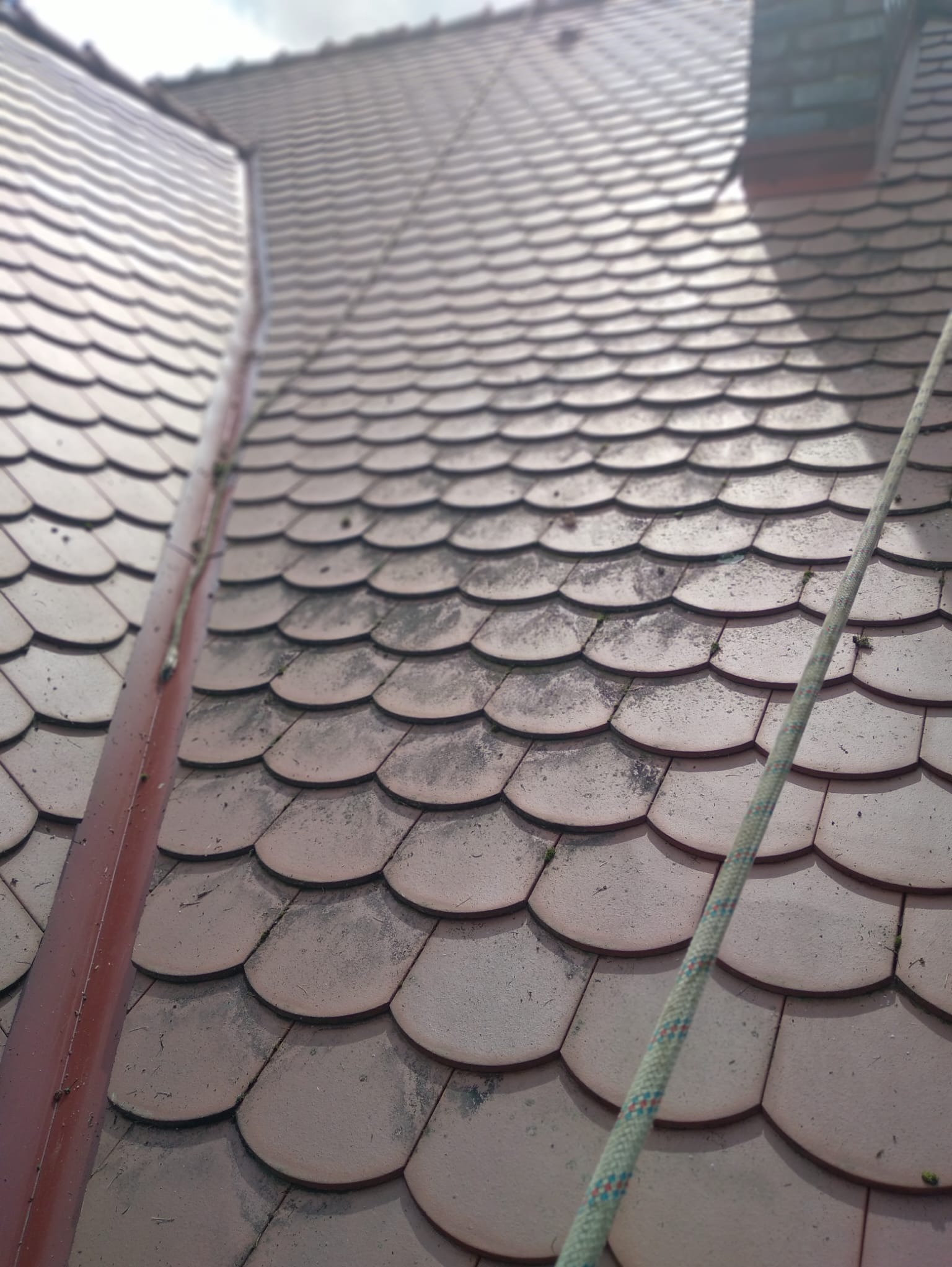 Czerwono-brązowy dach pokryty dachówką karpiówką, częściowo porośnięty mchem, z widoczną liną zabezpieczającą i fragmentem komina w tle.