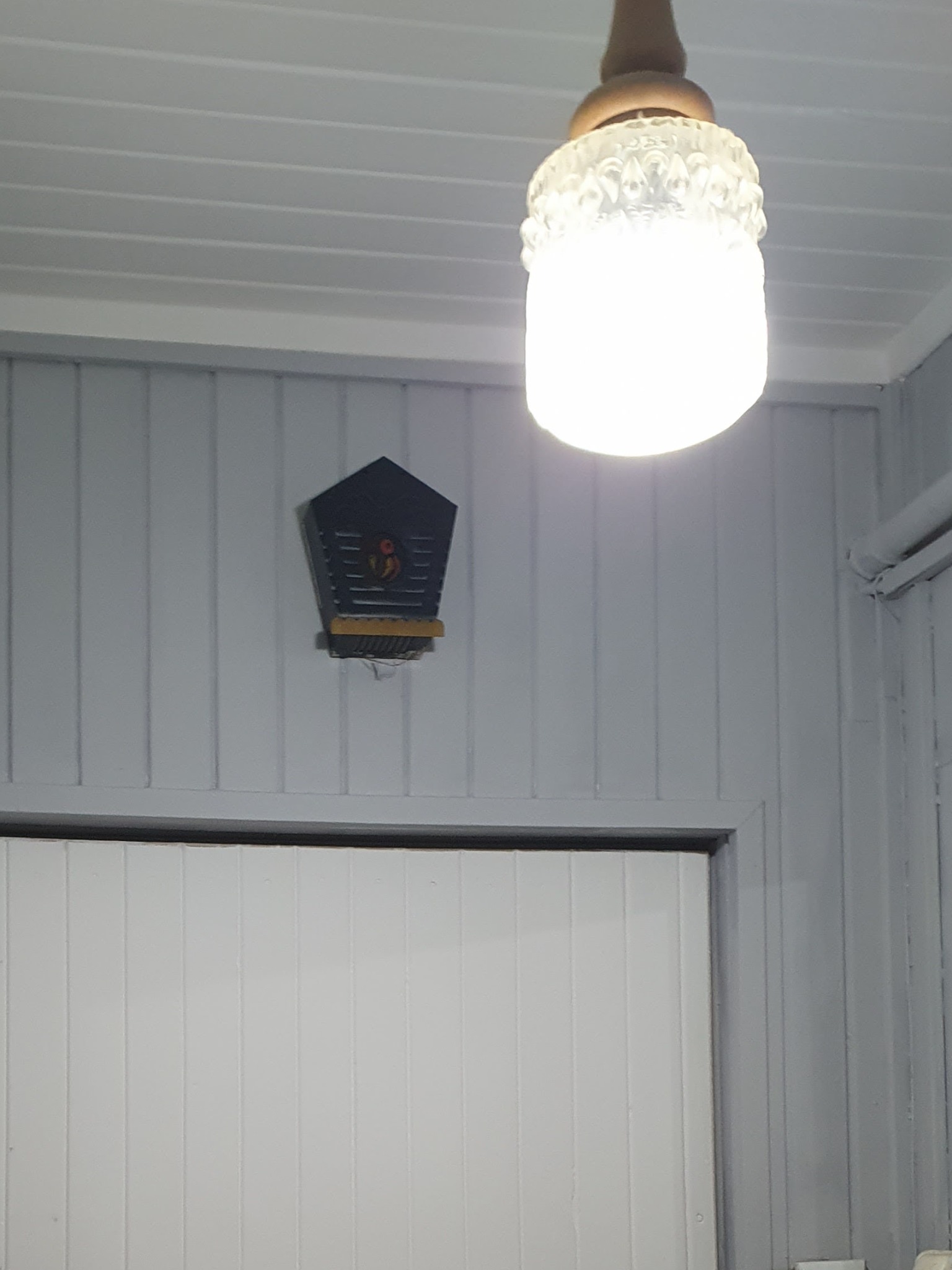 Szare panele ścienne z drewnianą boazerią, dekoracyjna lampa sufitowa i ozdobny karmnik dla ptaków na ścianie.