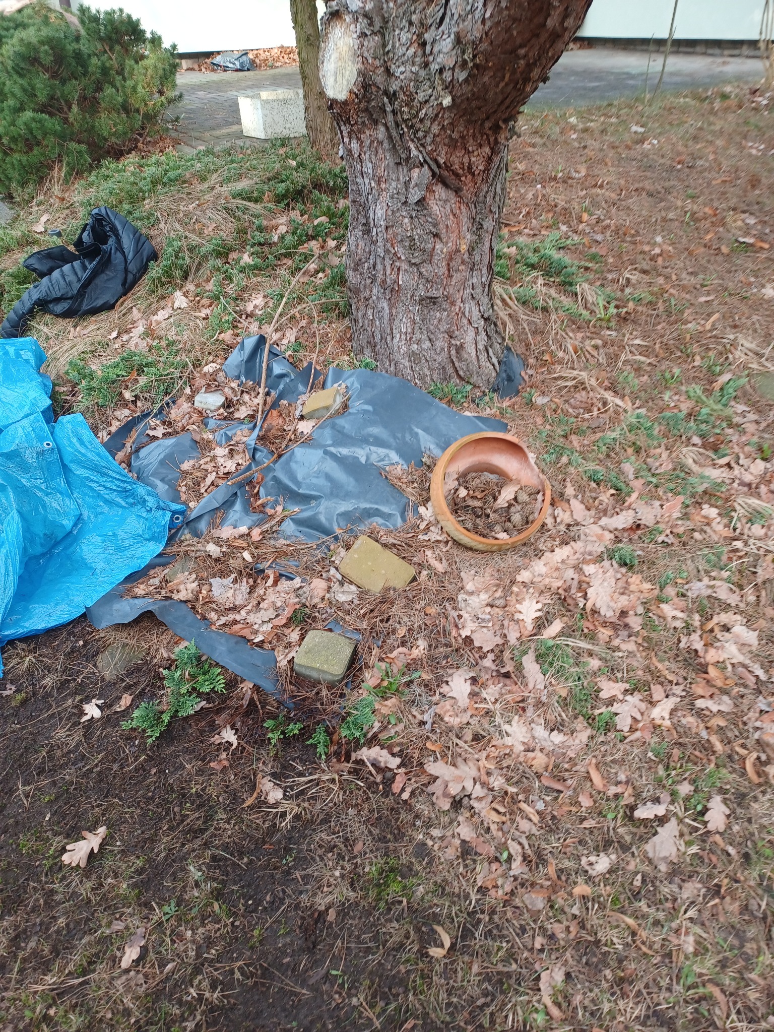 Nieporządek w ogrodzie: rozrzucone liście, potłuczona doniczka, fragmenty folii i kamienie pod drzewem.