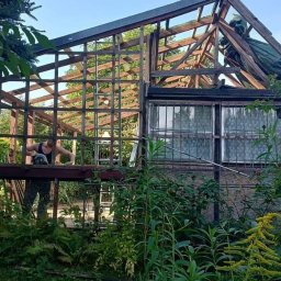 sebastian misiak - Pracownik demontuje drewnianą konstrukcję szklarni w ogrodzie, widoczne zarośla i fragmenty szyb.