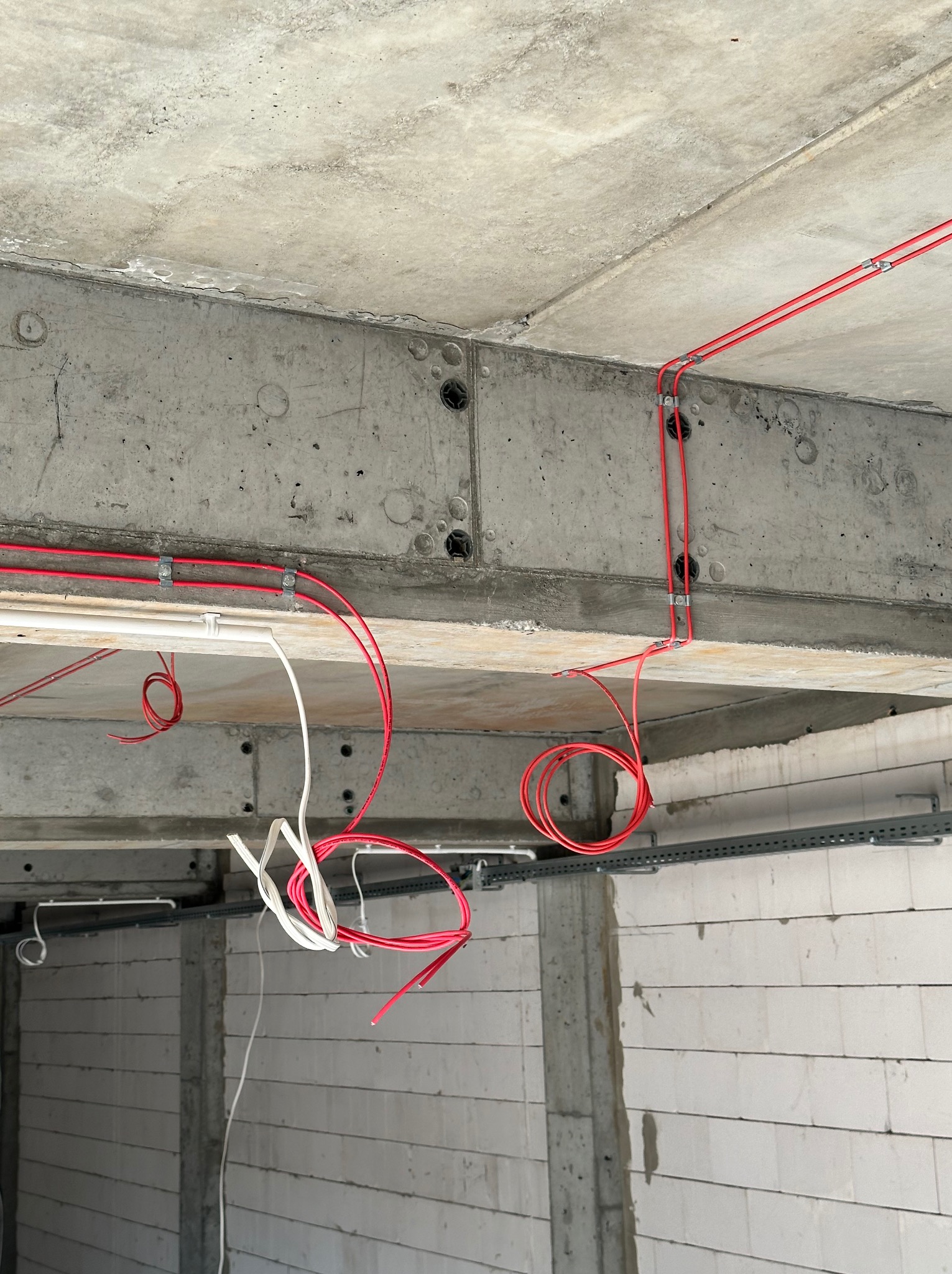 Czerwone i białe przewody elektryczne przymocowane do surowego betonowego sufitu za pomocą metalowych uchwytów, widok z dołu w trakcie prac instalacyjnych.