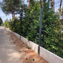 Artis Ogrodzenia. Ogrodzenia Panelowe, ogrodzenia palisadowe, bramy, furtki. - Nowoczesne ogrodzenie panelowe z podmurówką betonową, obsadzone tujami, widok z zewnątrz posesji, na chodniku leżą szyszki.