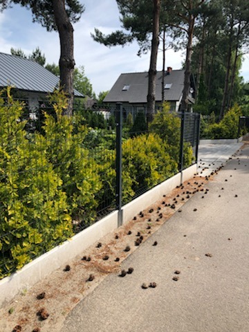 Ogrodzenia panelowe.