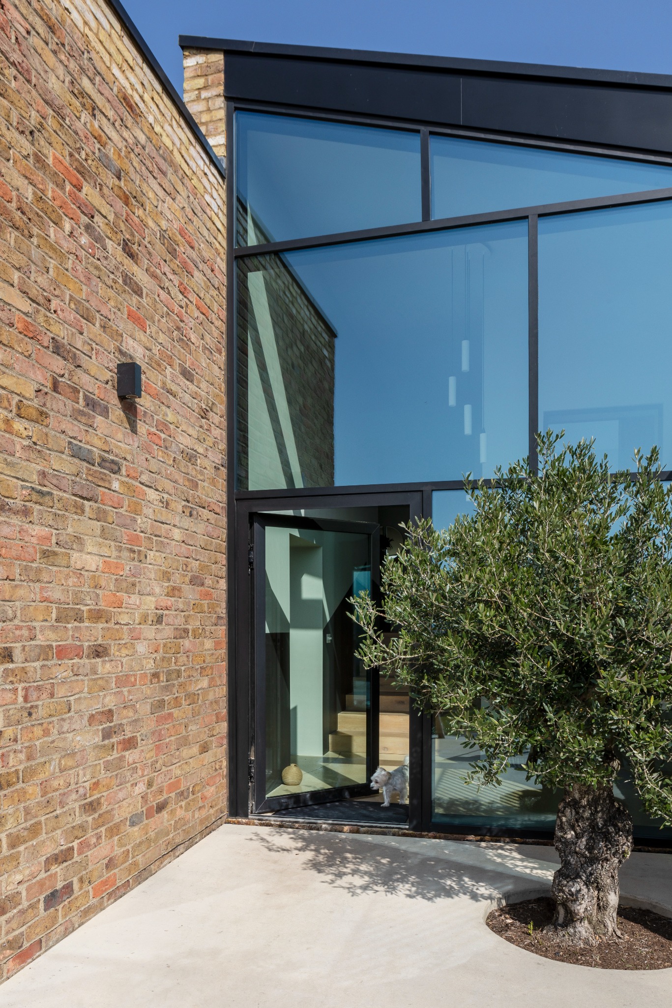 Nowoczesne drzwi szklane z czarną ramą w budynku z cegły, z widocznym wnętrzem i małym psem w progu.