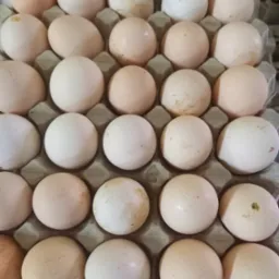 Kartonowe opakowanie z trzydziestoma jasnymi jajami kurzymi, widoczne drobne zabrudzenia na skorupkach.