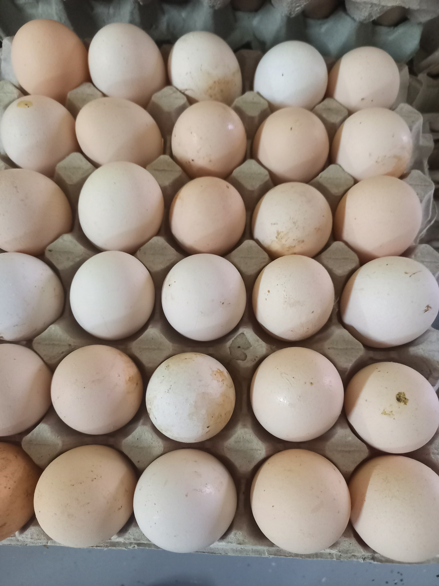 Kartonowe opakowanie z trzydziestoma jasnymi jajami kurzymi, widoczne drobne zabrudzenia na skorupkach.