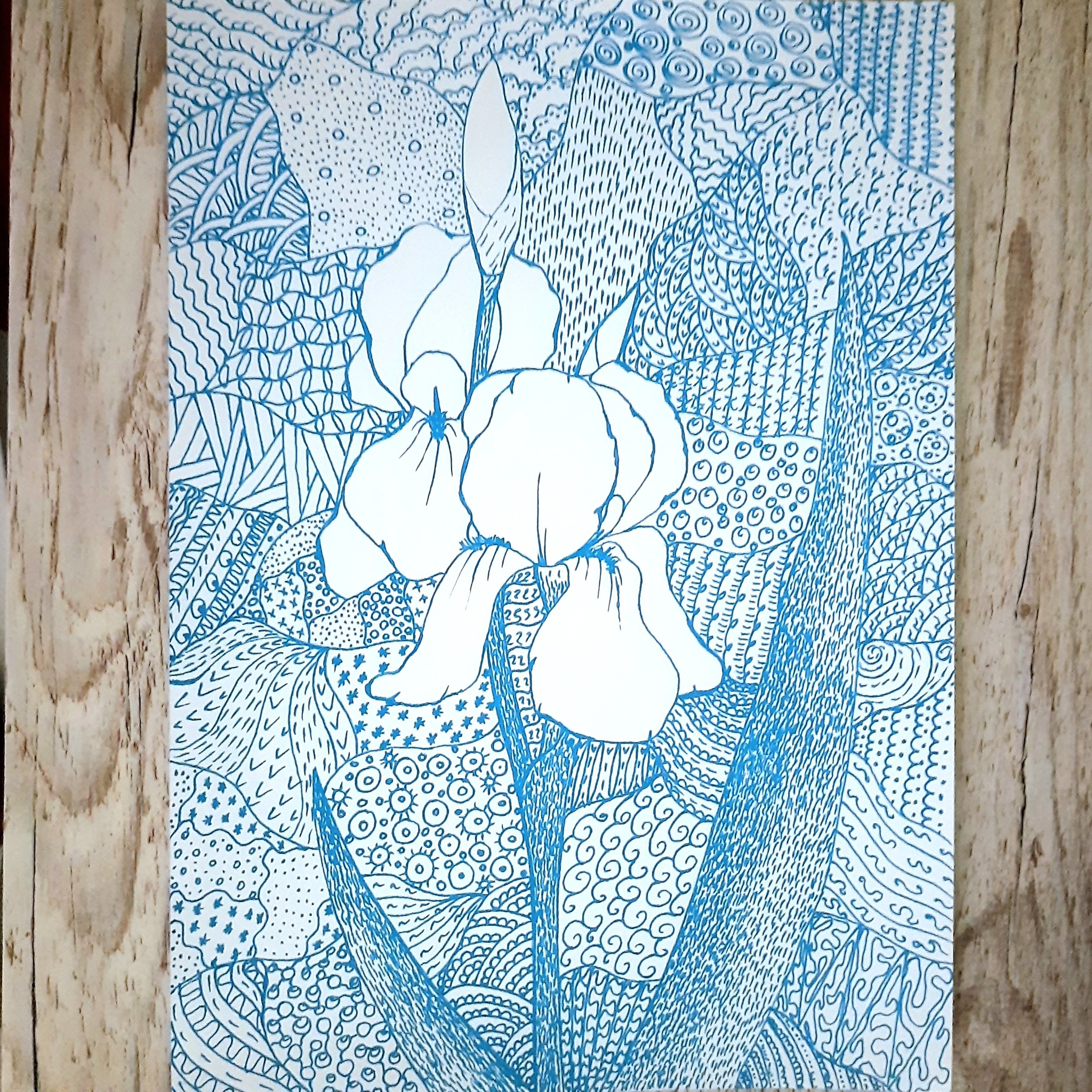 Irys, rysunek na papierze