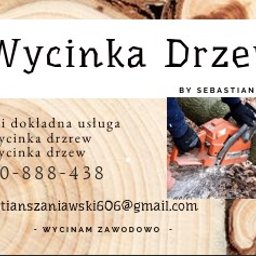 Wycinka drzew Warszawa 1