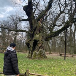 Dmytro Akhtyniuk - Kafelkowanie Poznań