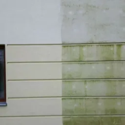 Porównanie: połowa elewacji budynku z beżową strukturą, wyczyszczona z zielonego nalotu, druga połowa elewacji pokryta zielonym brudem i mchem, widoczne dwa okna z brązowymi ramami.