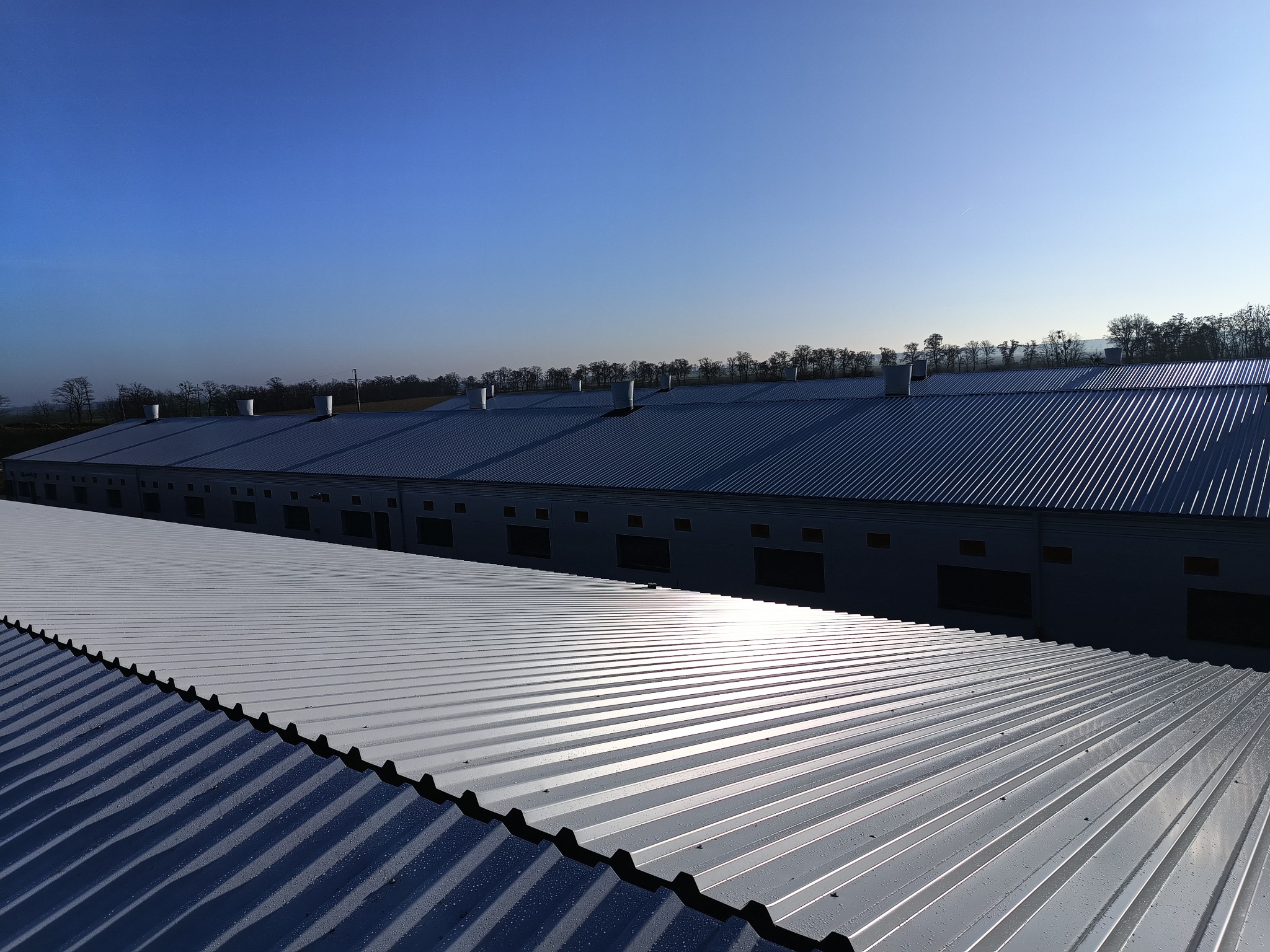 Długi, srebrny dach z blachy falistej, lekko wilgotny, ciągnący się wzdłuż budynków z kominami na tle błękitnego nieba i drzew. Widok z góry.