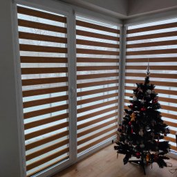 Rolety dzień no w kasecie z prowadnicami. 