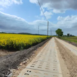 Droga polna zbudowana z ażurowych elementów betonowych prowadząca przez pole rzepaku w słoneczny dzień.
