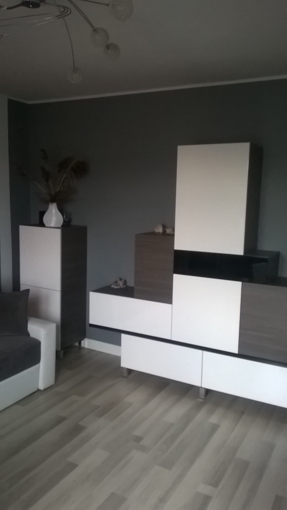 Nowoczesna zabudowa meblowa w salonie: kombinacja białych i grafitowych szafek, minimalistyczny design, jasna podłoga, dekoracje na szafkach.