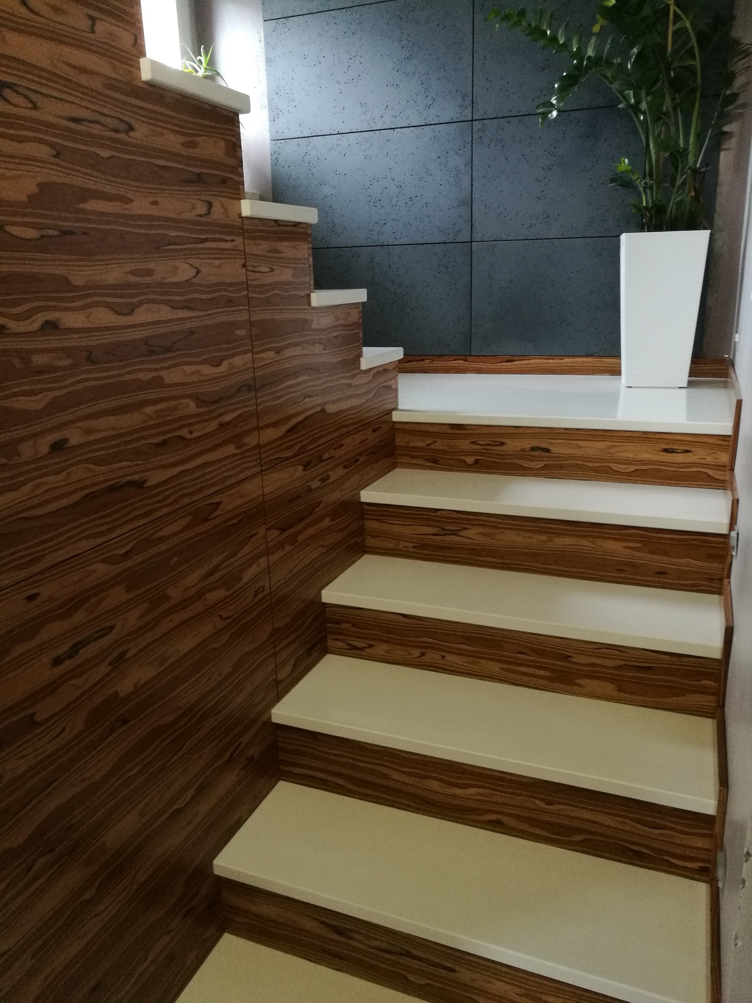 Nowoczesne schody drewniane z białymi stopniami i okładziną ścienną z forniru o wyraźnym usłojeniu, dopełnione rośliną w białej donicy na podeście.
