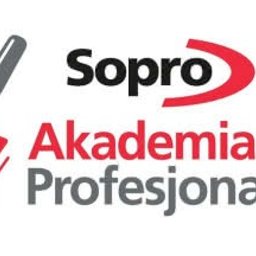 Glazurnik Plewiska 4