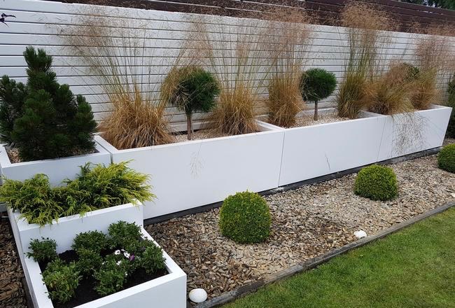 Nowoczesny ogród z podwyższonymi, białymi donicami wypełnionymi ozdobnymi trawami i formowanymi krzewami, otoczony korą i zielonym trawnikiem.