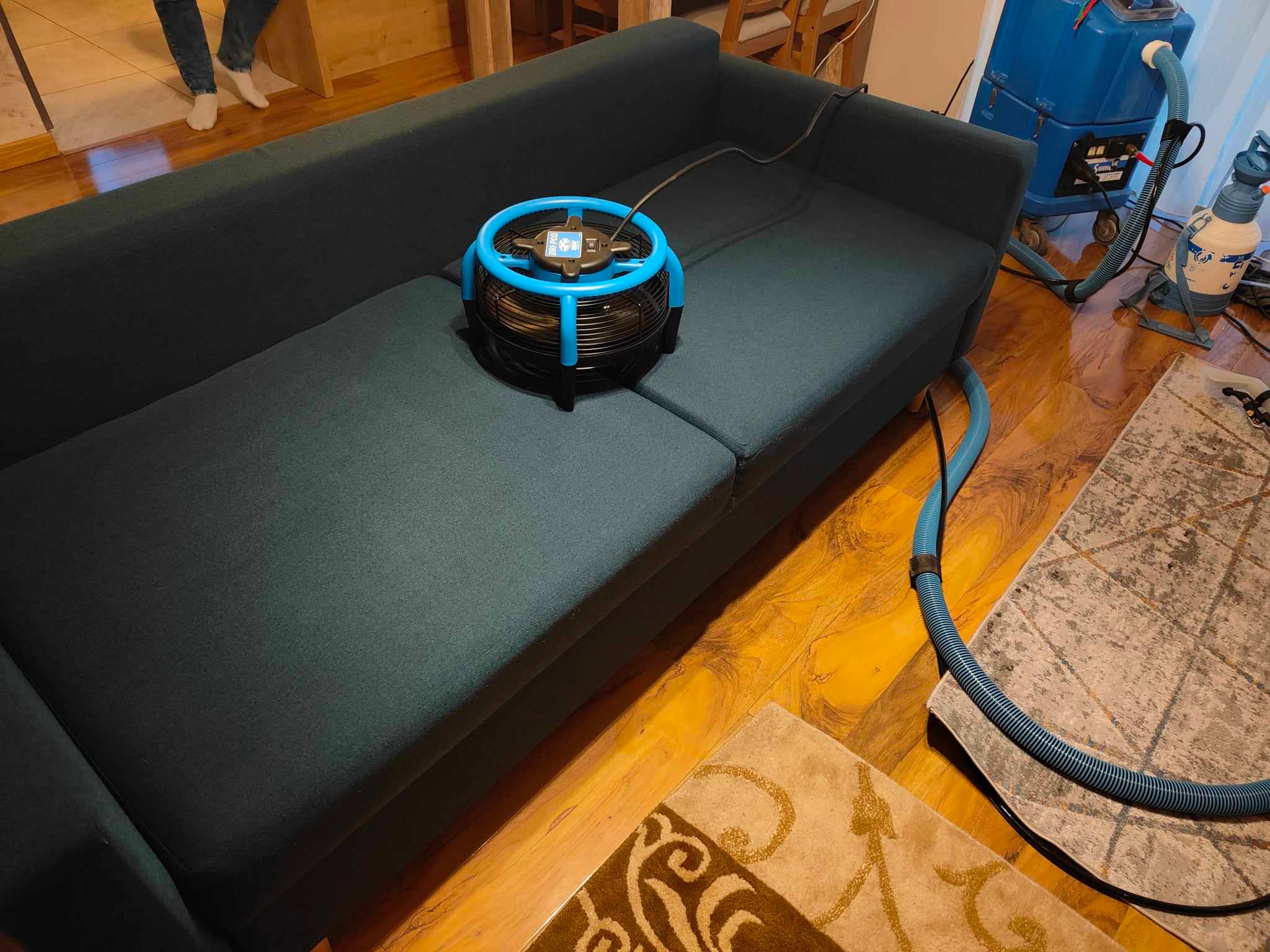Ciemnozielona sofa z wentylatorem osuszającym na siedzisku, obok sprzęt do czyszczenia z niebieskim wężem, dywan na podłodze.