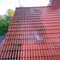 Bartosz Prelewski DomyjDach - Mycie dachu