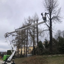 Bartosz Prelewski DomyjDach - Wycinka drzew z podnosnika