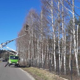 Bartosz Prelewski DomyjDach - Wycinka brzozy z podnosnika
